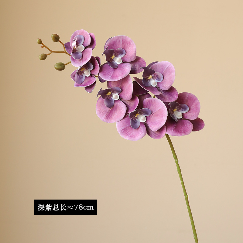 Orchid Eterna Real-Touch