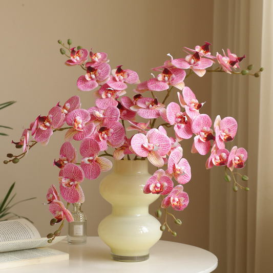 Orchid Eterna Real-Touch