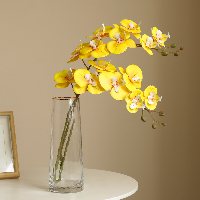 Orchid Eterna Real-Touch