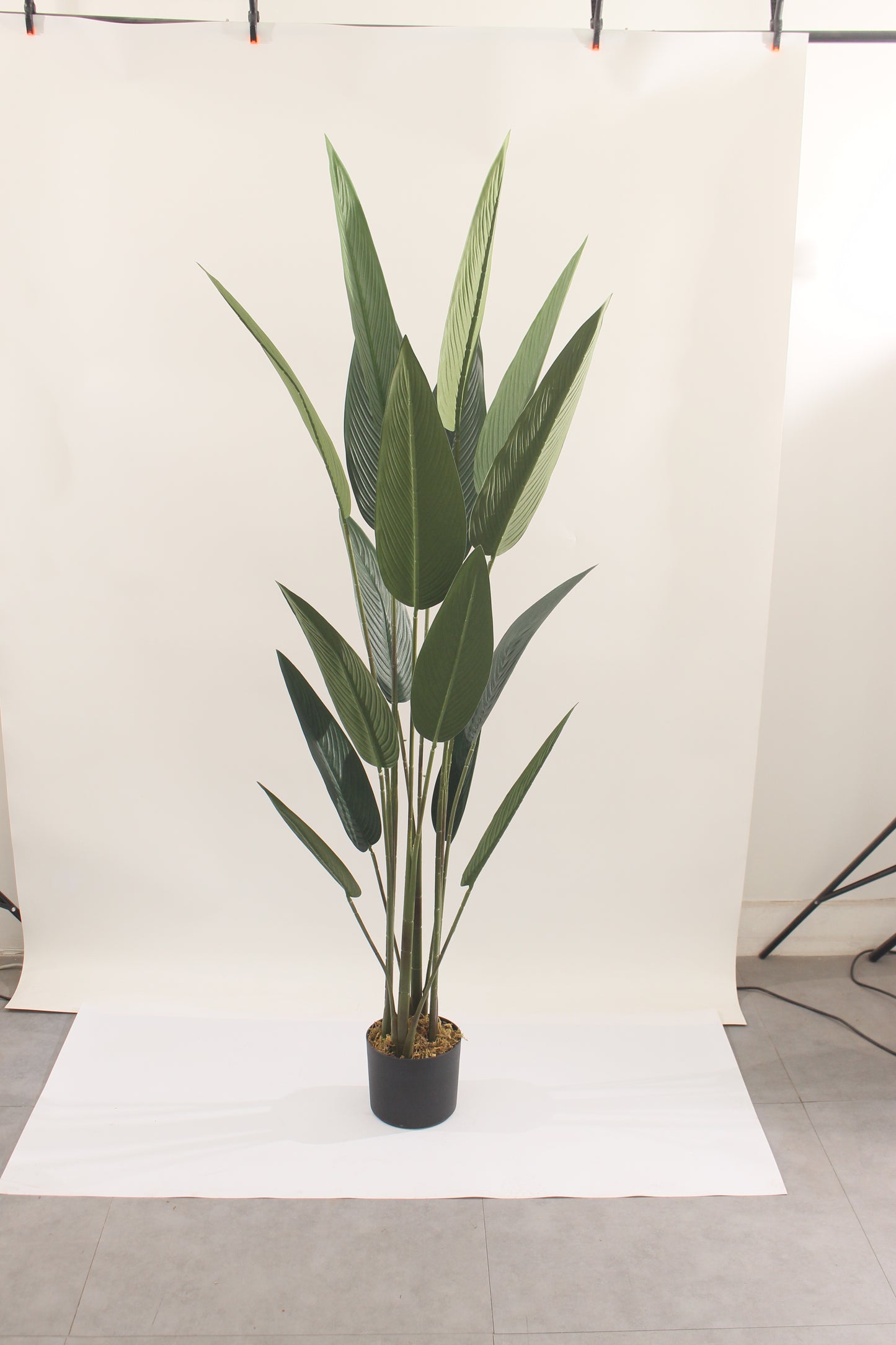 Paradiso Luxe Faux Bird of Paradise