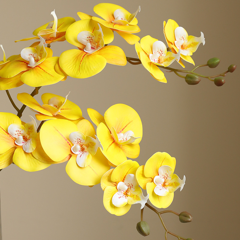 Orchid Eterna Real-Touch