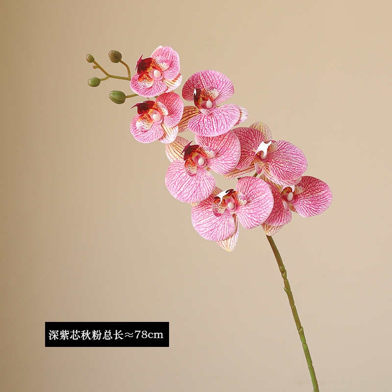 Orchid Eterna Real-Touch