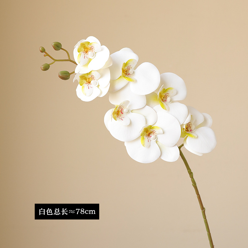 Orchid Eterna Real-Touch