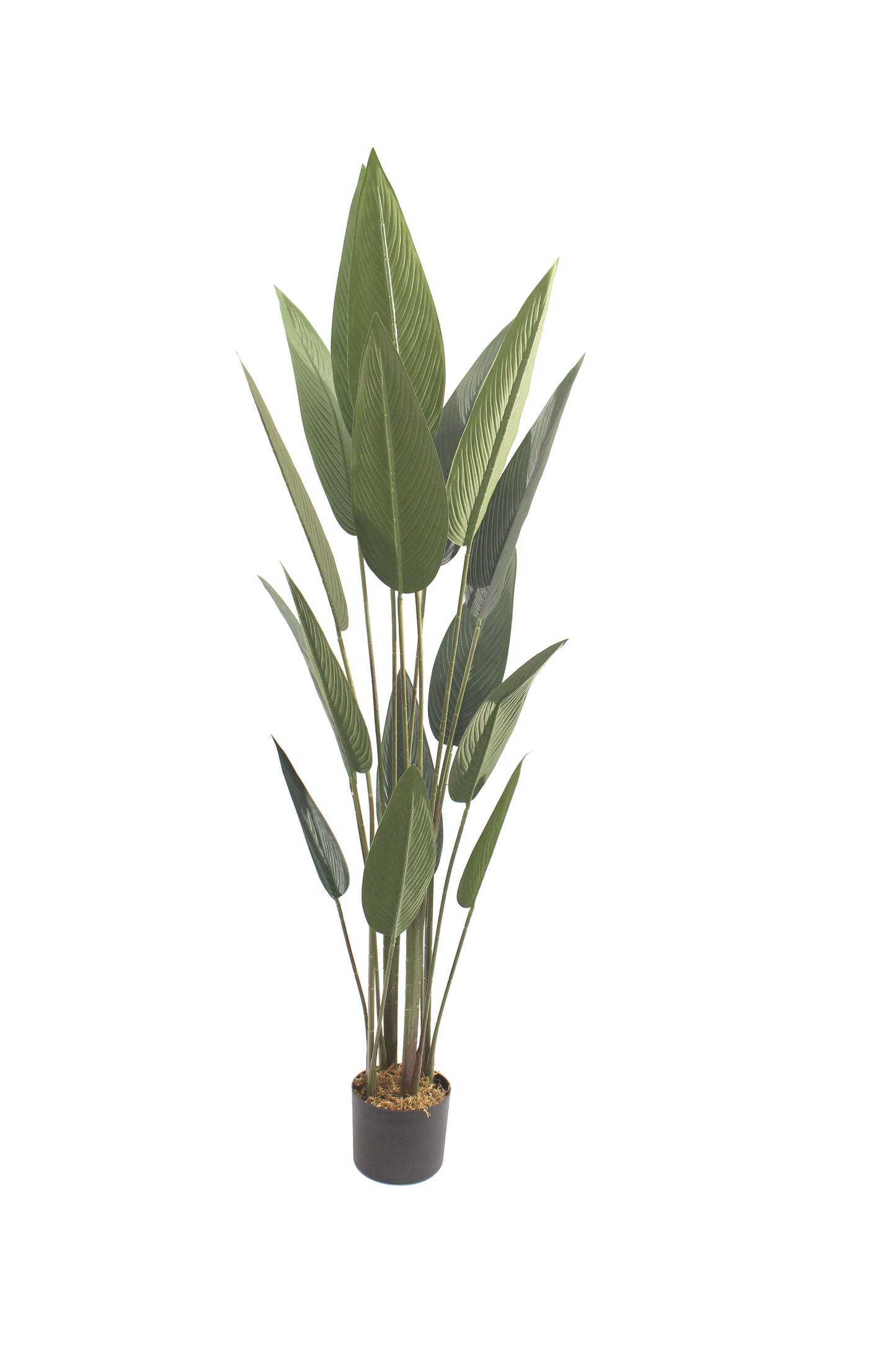 Paradiso Luxe Faux Bird of Paradise